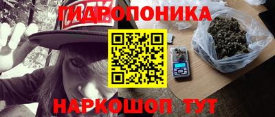 спайс Гай