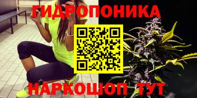 MESCALINE Гатчина