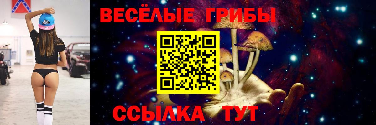 Галлюциногенные грибы мицелий Малоярославец